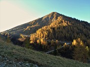 11 I larici del Valgussera colorati d'autunno